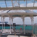 Sarah-Jane Lloyd - @sj_hey - Twitter