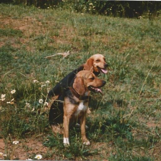 lawsonminerva's profile picture. Retired  love gardening ,reading .walking and country music