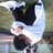 Heriawan95's profile image