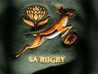 All the info on the best rugby team in the world, The Boke!!