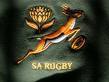 Springbok Rugby