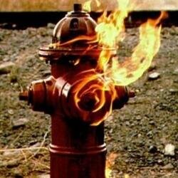 aschrotz's profile picture. 