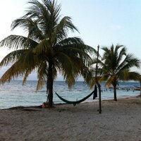 Emily V. Stone (@emilyvstone) 's Twitter Profile