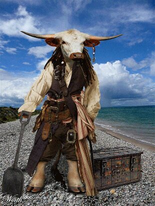 Just a small town Cow, trying to make it to the big city.