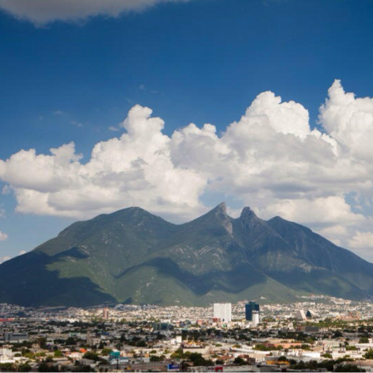 TerezaKacerova's profile picture. 