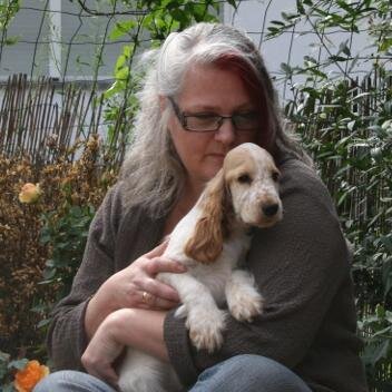 Spaniel von Roohan