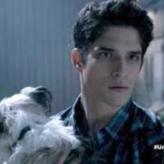 ScottMcCall___'s profile picture. Im the true Alpha now ||Single||straight||#Scallison or #Scira||