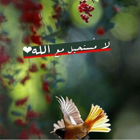 nawaf123456645's profile picture. احفظ الله يحفظك