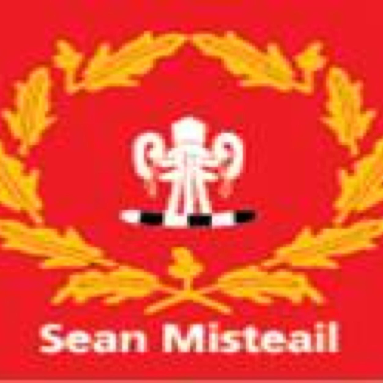 John Mitchels WFD Profile