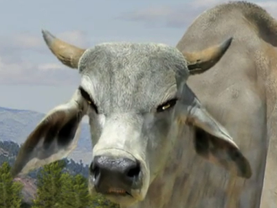 UtterZebu's profile picture. Hobbies: cud-chewing, tail-swishing, and starring in videos to promote Complete and Utter Zebu