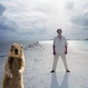 Dan Rastor (@jobday) Twitter