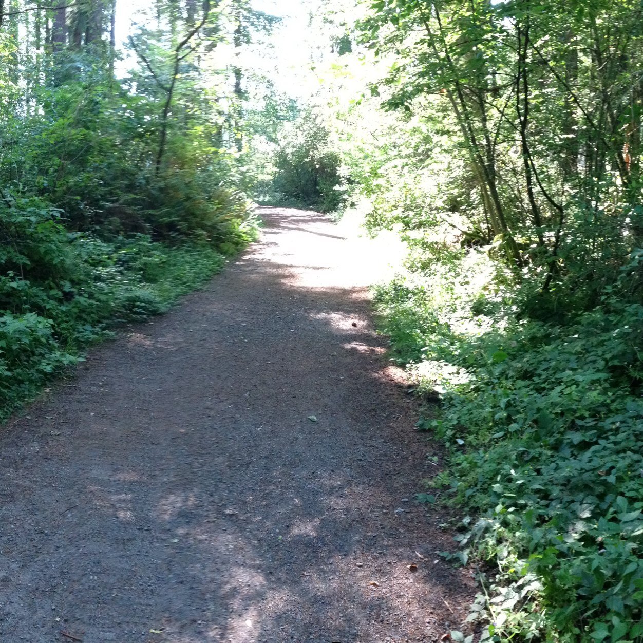 MayleyDeMiller's profile picture. 