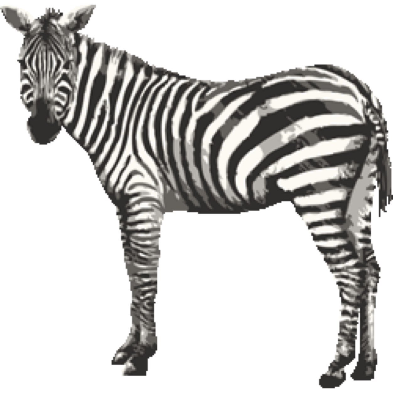 inava1783's profile picture. 