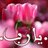 fadyashemlawee's profile image