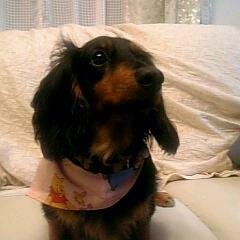 可愛い動物,幻想的な景色等の画像を紹介します。相互フォロー募集中
どうぞ宜しくお願いします。
#followmejp　#sougofollow　