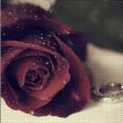 dody78237833's profile picture. 