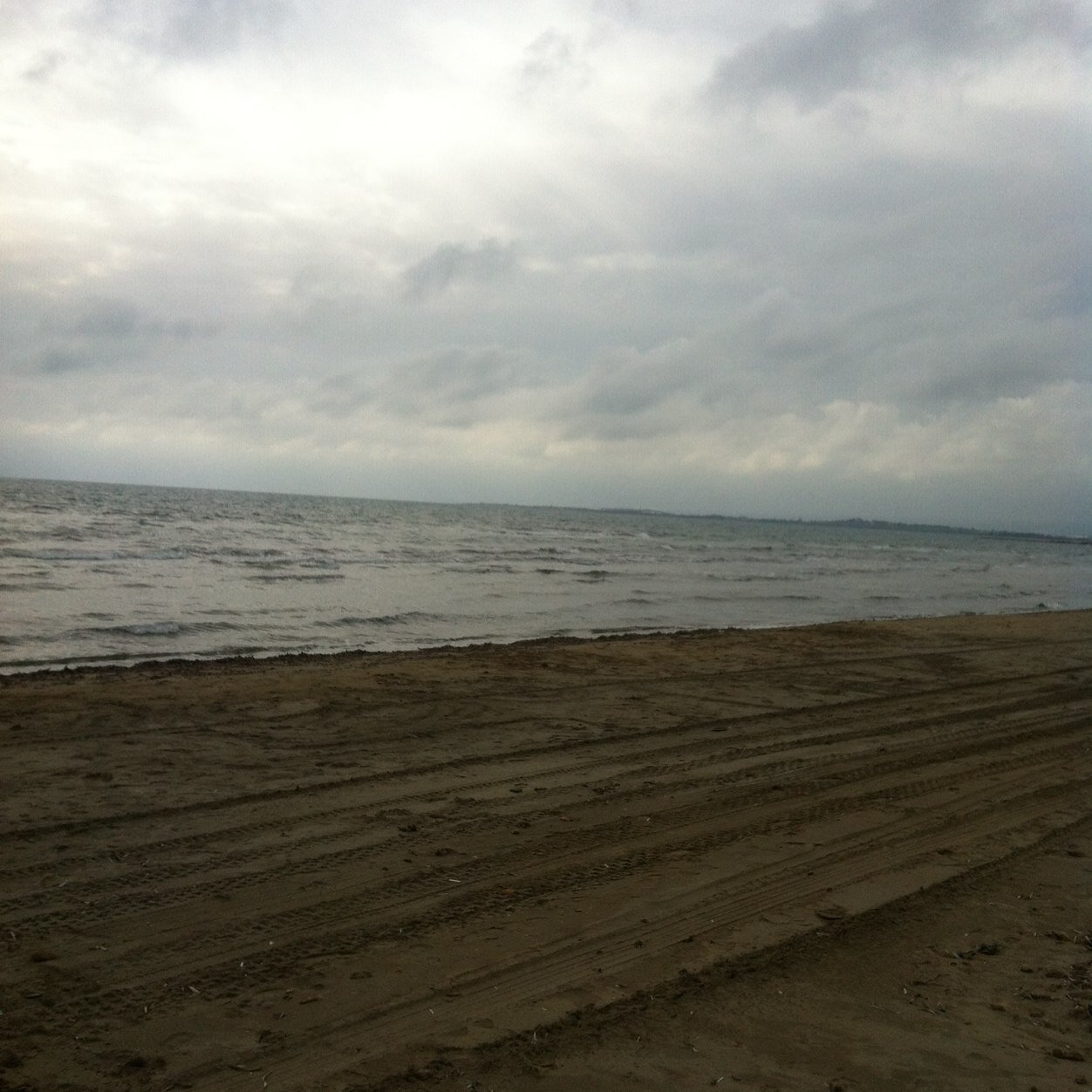 angelacoppolact's profile picture. 