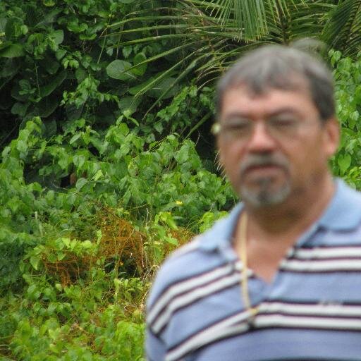 PTamatoa's profile picture. 