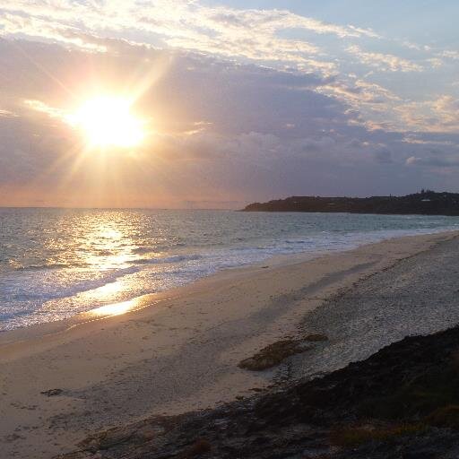 robboshealthy's profile picture. Healthy Products for a healthy lifestyle