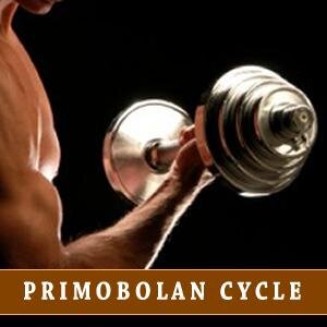 Obtenir le meilleur logiciel pour alimenter votre oxymetholone 50 mg dosage