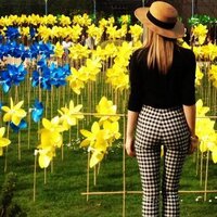 coralie dienis (@coraliedienis) 's Twitter Profile