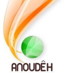 Anoudêh signifie en langue Wê Agissons ! Alors jeunes ivoiriens agissons pour notre avenir - Comme le dit l'adage l'Union fait la force