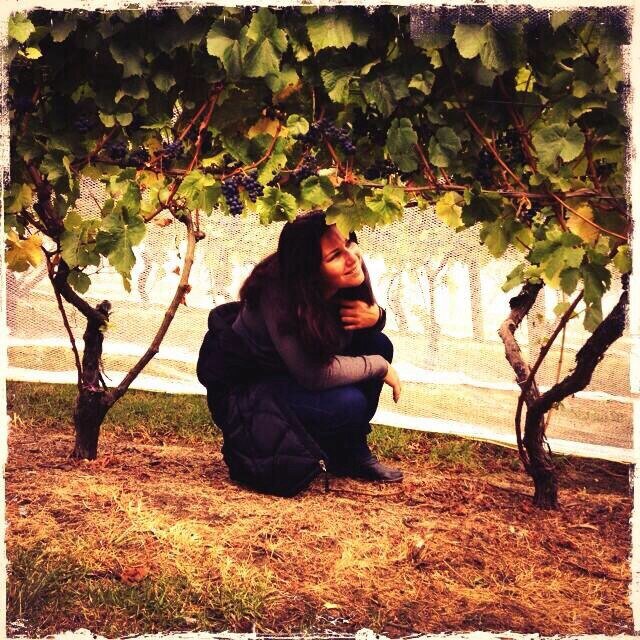 Constant & compulsive vinous adventurer, MW, Certified WSET C. Educator, brand builder, writer & wine industry consultant.