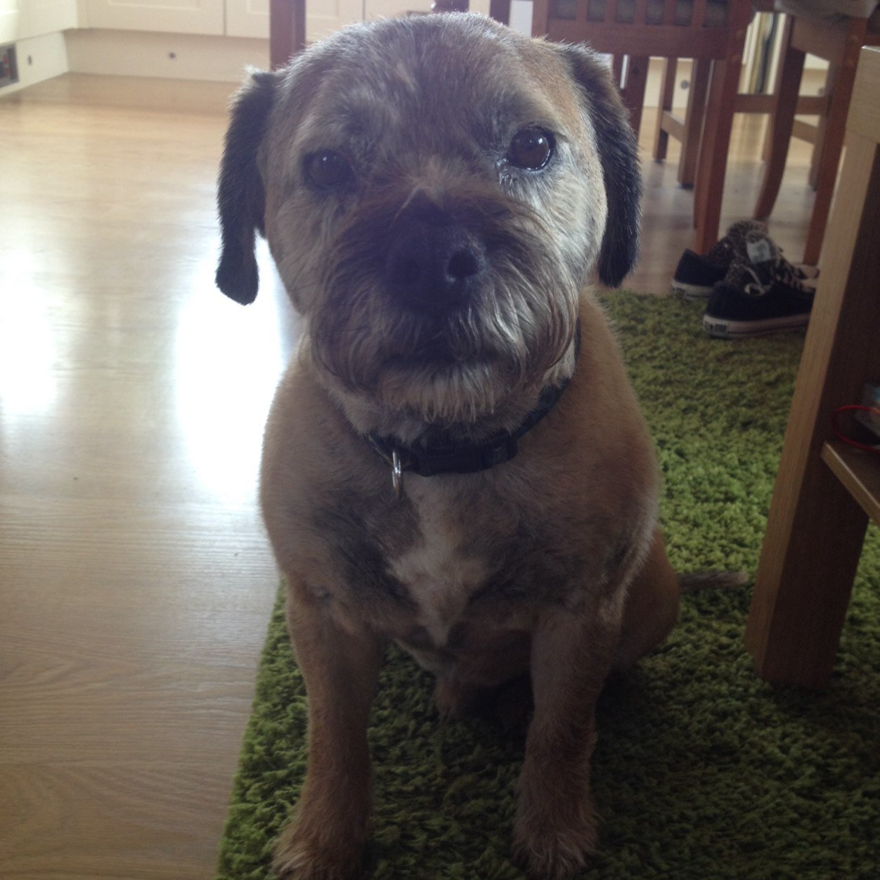 a1a14m11's profile picture. 