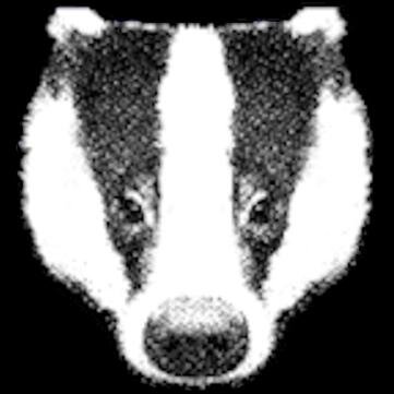 We are the Definitive On-Line Guide to Badgers in the UK. We campaign to protect badgers. We educate people about their needs. We run an Ask an Expert service.