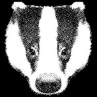 BadgerlandCoUk (@badgerlandcouk) 's Twitter Profile