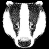 BadgerlandCoUk(@BadgerlandCoUk) 's Twitter Profile Photo