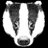 BadgerlandCoUk