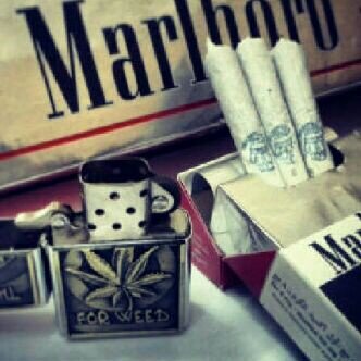 Dlol699's profile picture. 