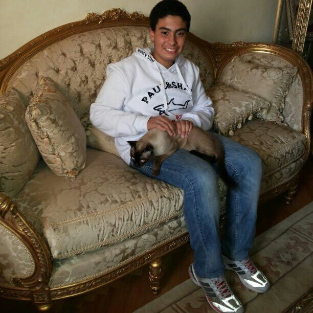 BBM: 7C8F1E8E add me. whatsapp:01126937876. istagram:mohamed_abdo369 follow me
