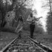 singingtheline (@singingtheline) Twitter profile photo singingtheline (@singingtheline) Twitter profile photo