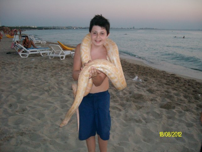 GmailJoele's profile picture. 