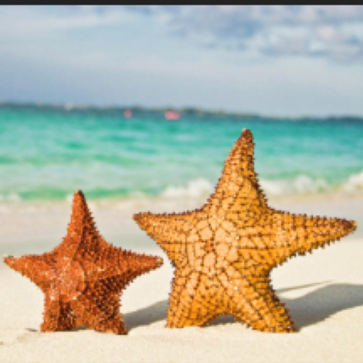 Single adopter mummy to my incredible StarFish (SF) since 2014 ... steep learning curve since! Primary Teacher & SENCo in my ‘spare’ time! Keeping the faith!