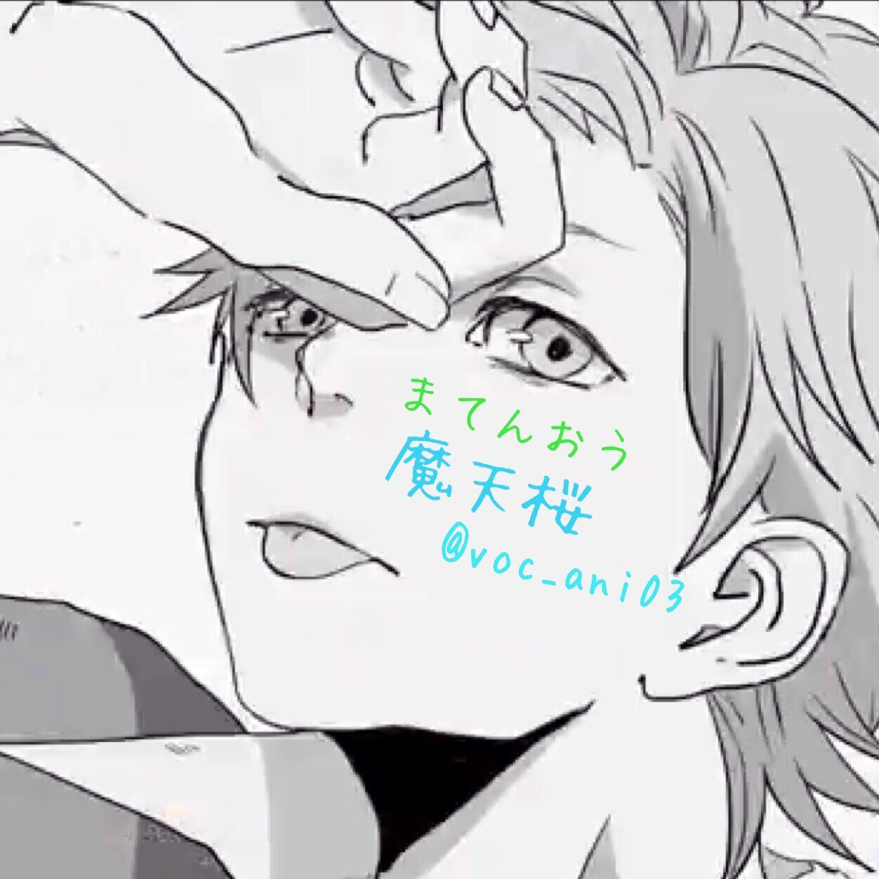 ✩魔天桜✩さんのプロフィール画像