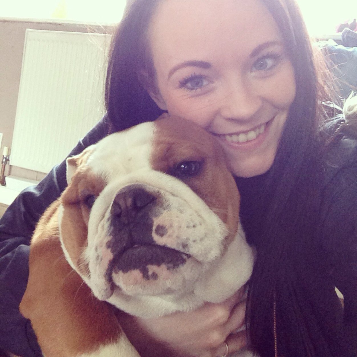 kirstymccairns's profile picture. My name is Prada. I love sleeping stealing dummys and food..