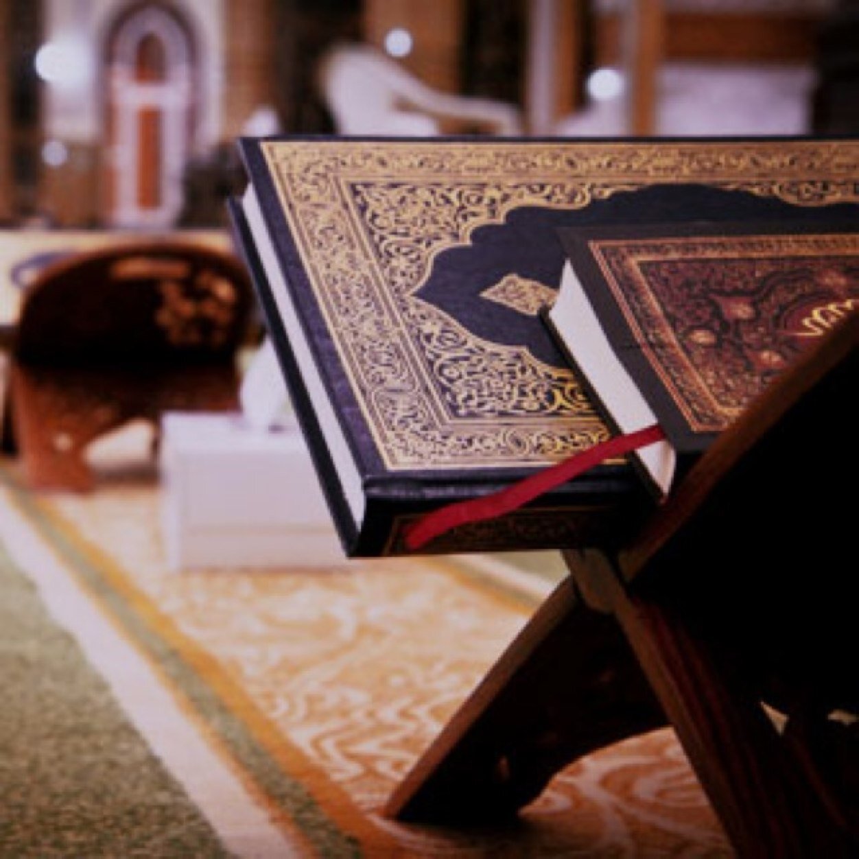 و لأن الحُب دعاء كُلما لامس جبيني الأرض دَعيت الله أن يجمعنا في جنّاته، صدقة جارية لمن أسعَدني في هذه الدنيا ~