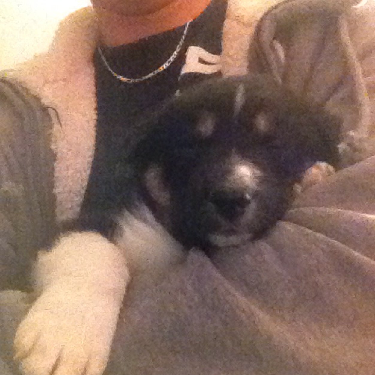 BMWV_bverbs's profile picture. Working in demolition, spending time with my friends, new car and moved out. Goodbye past and old life. New life is here to stay. Loving things now.