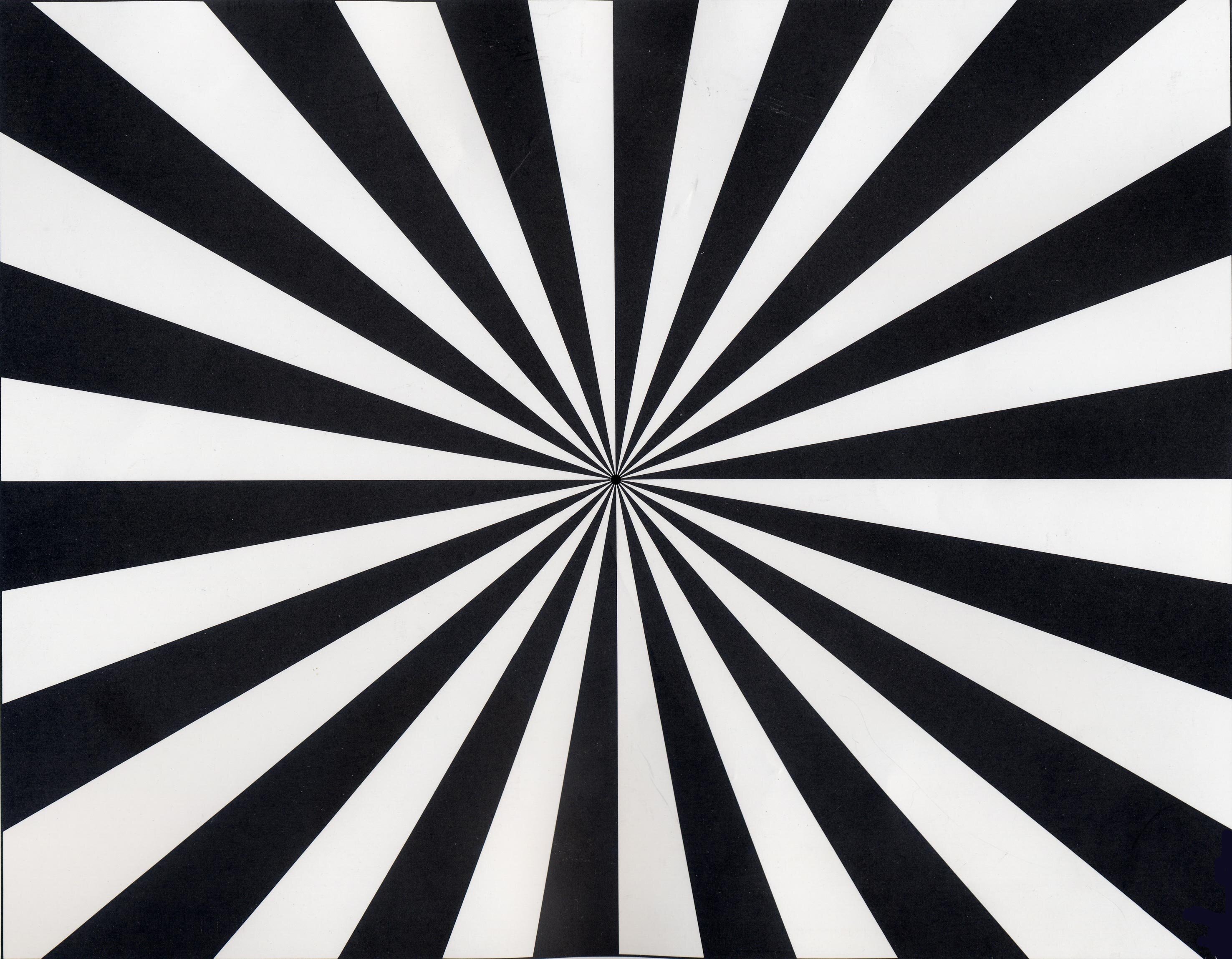 Timecodecat's profile picture. https://t.co/ZjX9HsT0di