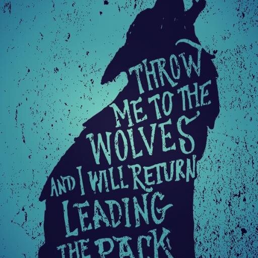 16catsmom's profile picture. Geeky nerd princess and crazy cat lady :)  Scientist by day and wanna be author by night....