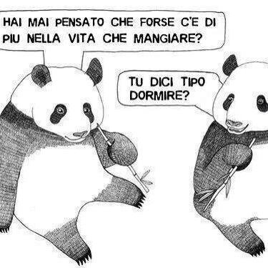 __NayaRinlove's profile picture. 