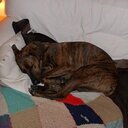 Joseph Leigh - @joejgames - Twitter