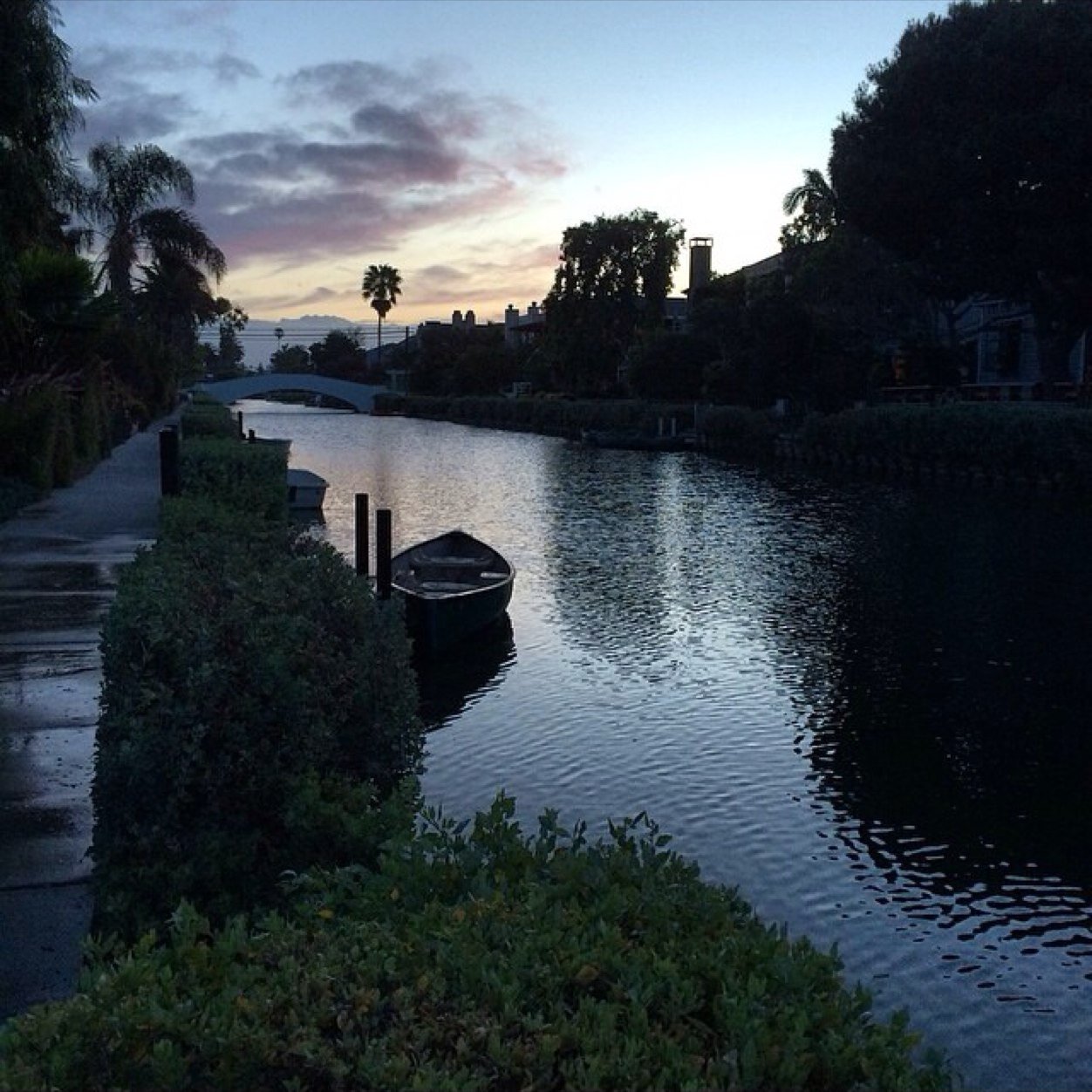 gailfitz11's profile picture. 