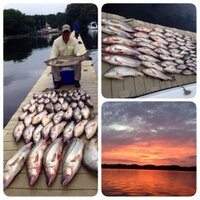 Franklin Contreras Ortega (@franklinpco) 's Twitter Profile