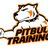 TrainingPitbull's profile image