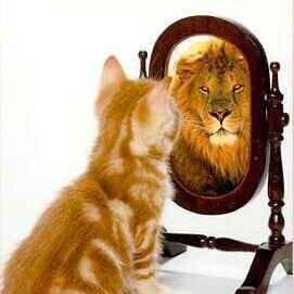 Dubravk69283738's profile picture. 