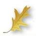 Hardwood Federation (@thehardwoodfed) Twitter profile photo